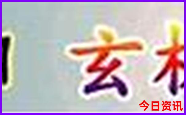 小姐是特马打一动物