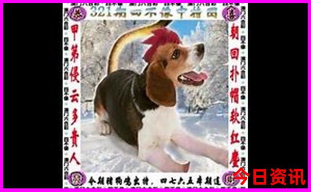 暑假带孩子适合去哪里旅游